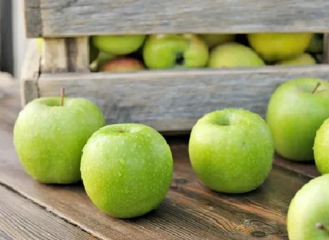 قیمت خرید سیب درختی کوچک عمده به صرفه و ارزان
