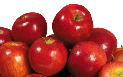 خرید و قیمت سیب قرمز ایران + فروش عمده