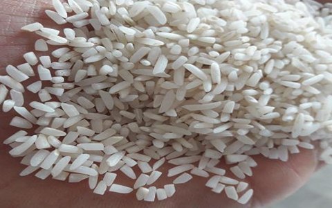 قیمت برنج نیم دانه هندی + خرید باور نکردنی