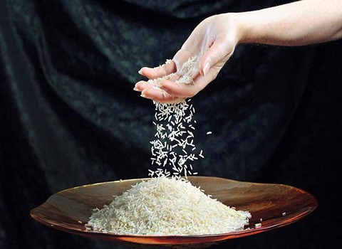 خرید برنج شمال شیرودی + قیمت فروش استثنایی