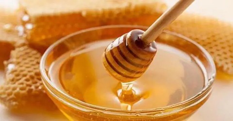 خرید عسل اصل طبیعی + قیمت فروش استثنایی