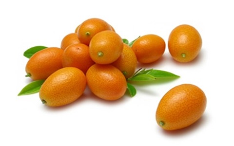 خرید پرتقال جنگلی + قیمت فروش استثنایی