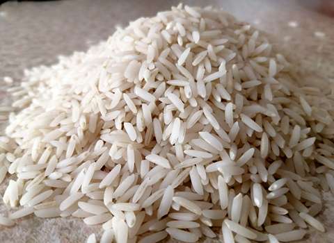 فروش برنج طارم گرگان + قیمت خرید به صرفه