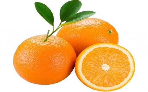قیمت خرید میوه پرتقال ایران با فروش عمده