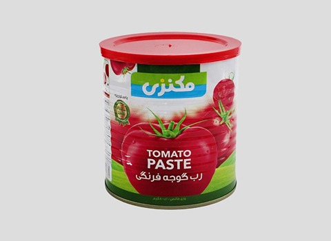 قیمت خرید رب گوجه مکنزی عمده به صرفه و ارزان