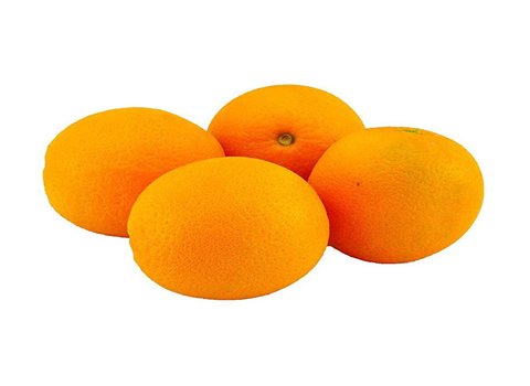 قیمت خرید میوه پرتقال در ایران عمده به صرفه و ارزان