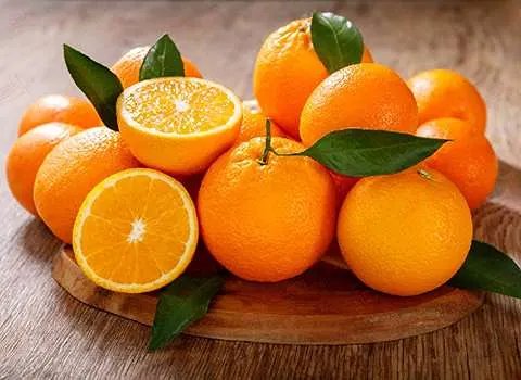 قیمت پرتقال استان فارس + خرید باور نکردنی