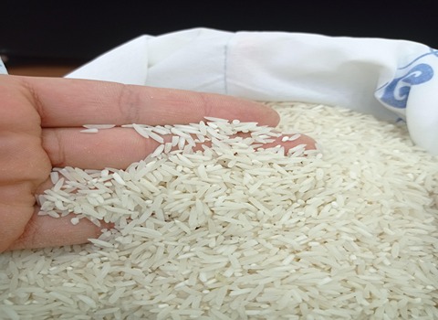خرید و قیمت برنج فجر عالی + فروش صارداتی