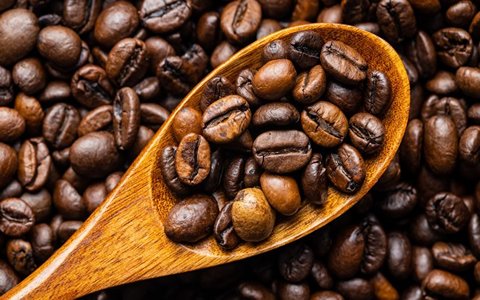 خرید و قیمت دانه قهوه کنیا + فروش عمده