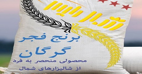 قیمت خرید برنج فجر گرگان درجه یک + فروش ویژه