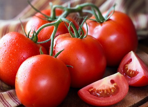 خرید و قیمت گوجه فرنگی در شمال + فروش صادراتی