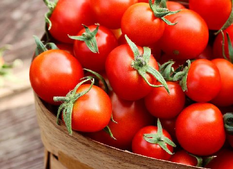 خرید گوجه شیراز + قیمت فروش استثنایی