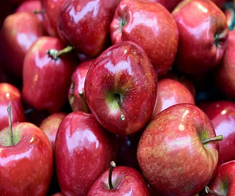 خرید سیب سرخ شاهرود + قیمت فروش استثنایی
