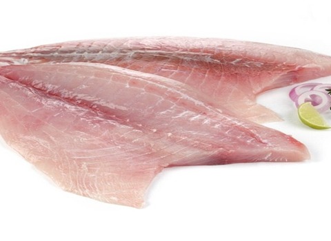 قیمت خرید ماهی شیر گالت عمده به صرفه و ارزان