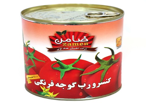 قیمت خرید رب گوجه ضامن + فروش ویژه