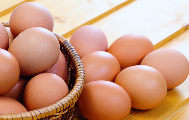 خرید تخم مرغ محلی مشهد + قیمت فروش استثنایی