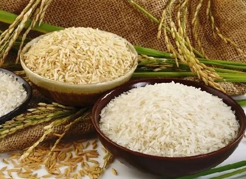 قیمت برنج ایرانی درجه یک + خرید باور نکردنی
