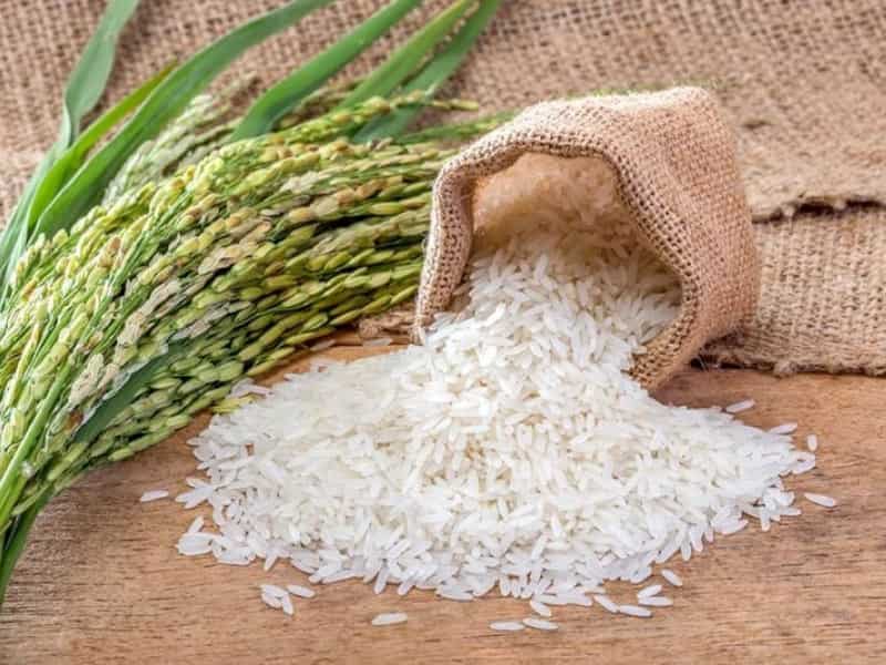 خرید و فروش برنج هاشمی طارم شمال با شرایط فوق العاده