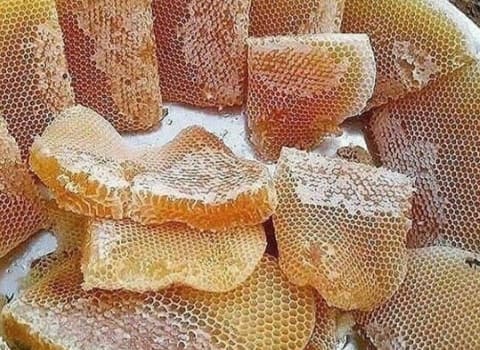 خرید و قیمت عسل اصلی کوهی + فروش عمده