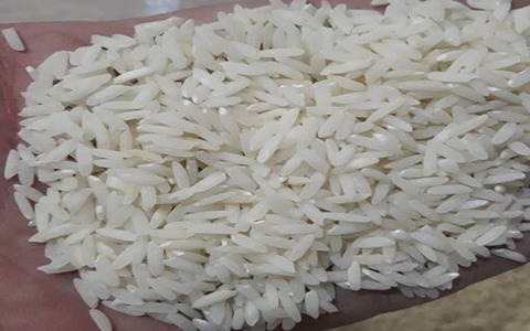 خرید و قیمت برنج هاشمی درجه یک + فروش عمده