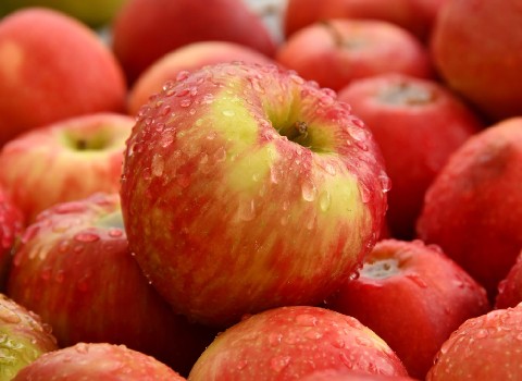 خرید و قیمت سیب درختی صادراتی + فروش عمده