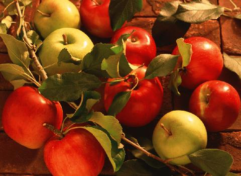 قیمت سیب درختی اصفهان + خرید باور نکردنی
