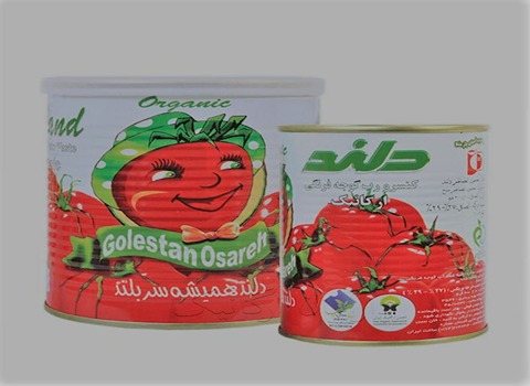 خرید و قیمت رب گوجه فرنگی دلند + فروش صادراتی