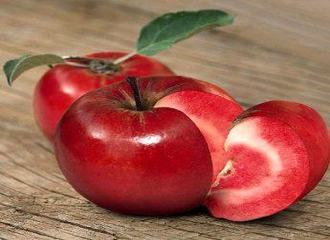 خرید و قیمت سیب تو سرخ سمنان + فروش صادراتی