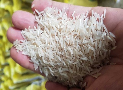 خرید و فروش برنج طارم کشت دوم رفاه با شرایط فوق العاده