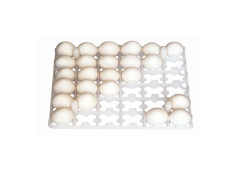 خرید شانه تخم مرغ جوجه کشی + قیمت فروش استثنایی