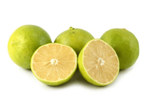 قیمت لیمو شیرین جنوب با کیفیت ارزان + خرید عمده