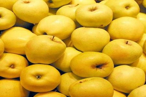خرید و قیمت سیب زرد شیراز + فروش صادراتی