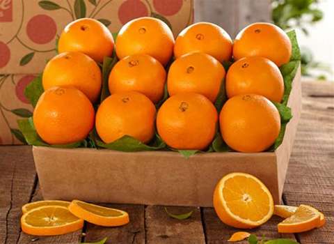 خرید پرتقال تامسون شمال + قیمت فروش استثنایی