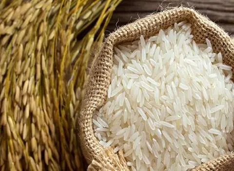 خرید و قیمت برنج درجه یک پاکستانی + فروش عمده