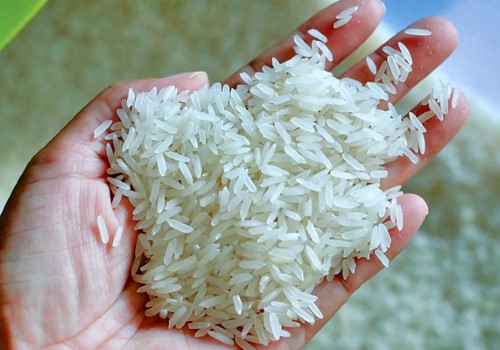خرید و قیمت برنج طارم استخوانی فریدونکنار + فروش صادراتی