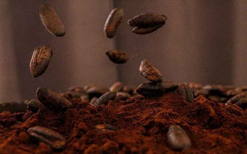 خرید و فروش قهوه هسته خرما اصل با شرایط فوق العاده