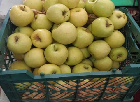 خرید سیب سمیرم سفید + قیمت فروش استثنایی