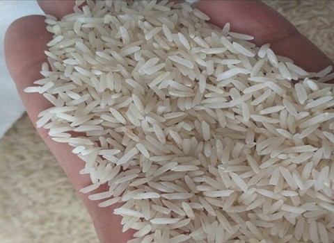 قیمت خرید برنج طارم معطر محلی + فروش ویژه