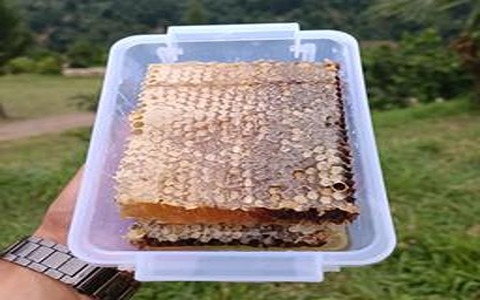 فروش عسل طبیعی سبلان با موم + قیمت خرید به صرفه