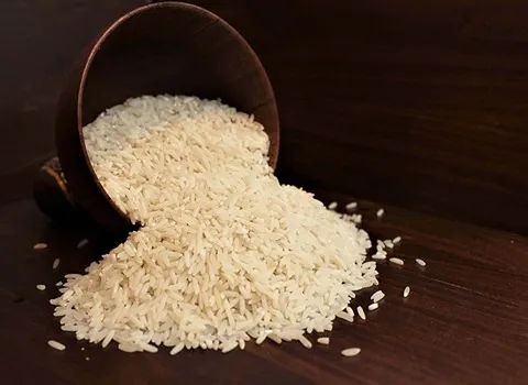 خرید و قیمت برنج فجر سوزنی شمال + فروش عمده