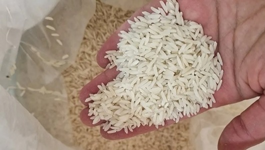 قیمت خرید برنج طارم سرگل + فروش ویژه