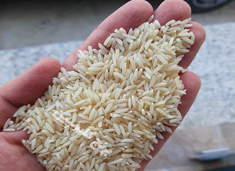 خرید و فروش برنج دودی هیزمی با شرایط فوق العاده