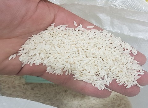خرید برنج دم سیاه طارم + قیمت فروش استثنایی