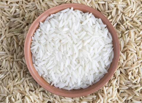 خرید و قیمت برنج فجر دولتی + فروش صادراتی
