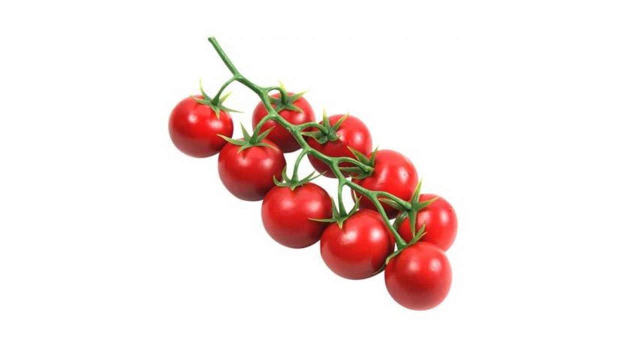 خرید و قیمت گوجه فرنگی خوشه ای + فروش صادراتی