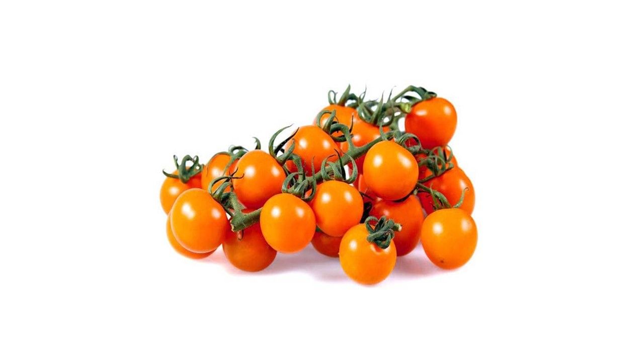 قیمت خرید گوجه فرنگی چری + فروش ویژه