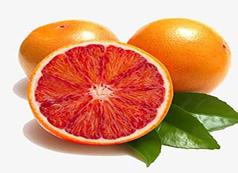 قیمت خرید پرتقال توسرخ کاراکارا عمده به صرفه و ارزان