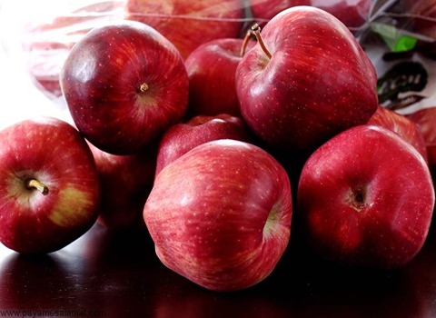 قیمت خرید سیب قرمز پیوندی با فروش عمده