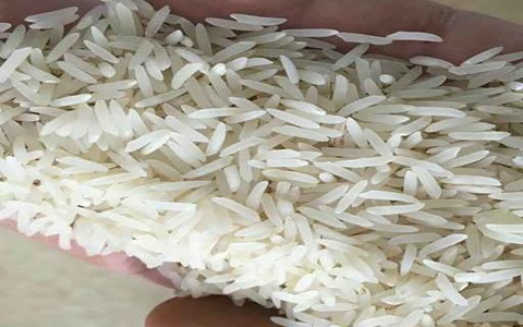 خرید  برنج شمال فریدونکنار  +  قیمت فروش استثنایی