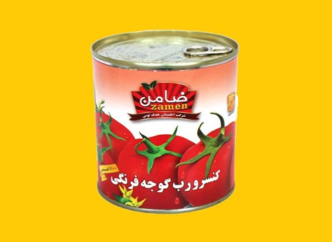 خرید رب گوجه ضامن + قیمت فروش استثنایی